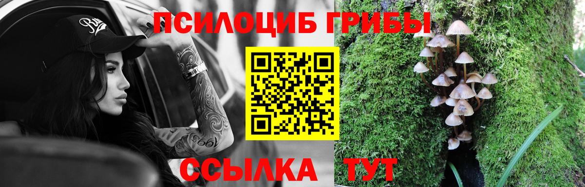 Галлюциногенные грибы MAGIC MUSHROOMS  Вход с VPN  Гурьевск 