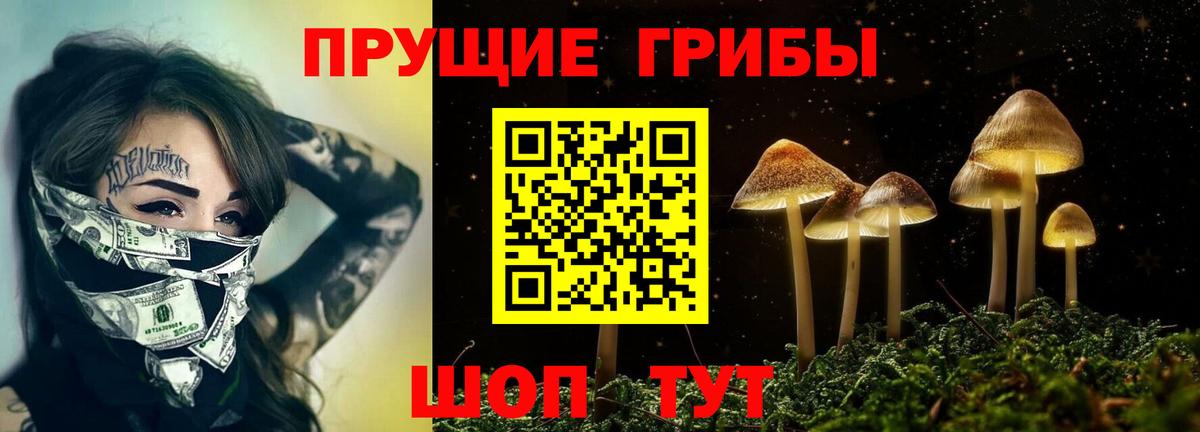 Псилоцибиновые грибы мицелий Гурьевск
